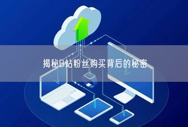 揭秘B站粉丝购买背后的秘密