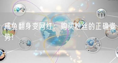 咸鱼翻身变网红:购买粉丝的正确姿势!