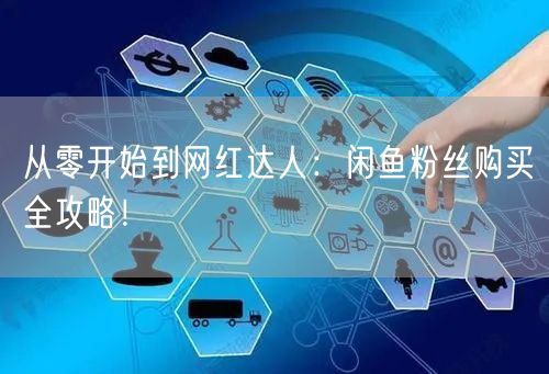 从零开始到网红达人：闲鱼粉丝购买全攻略！