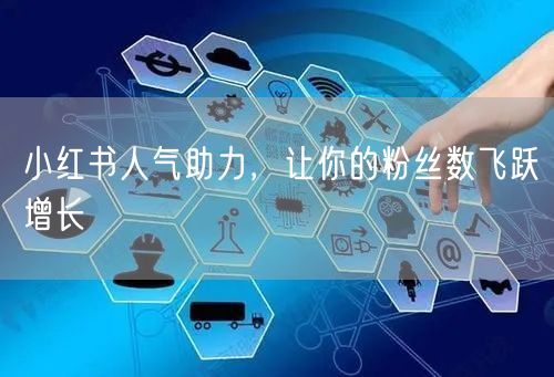 小红书人气助力，让你的粉丝数飞跃增长