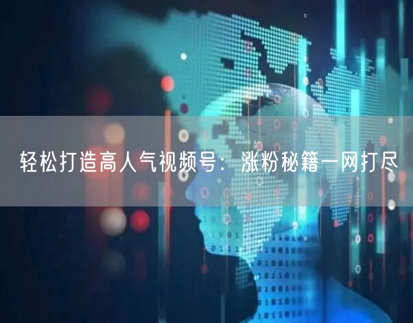 轻松打造高人气视频号:涨粉秘籍一网打尽