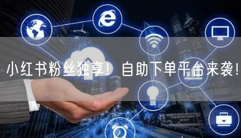 小红书粉丝独享！自助下单平台来袭！