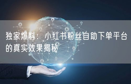 独家爆料：小红书粉丝自助下单平台的真实效果揭秘