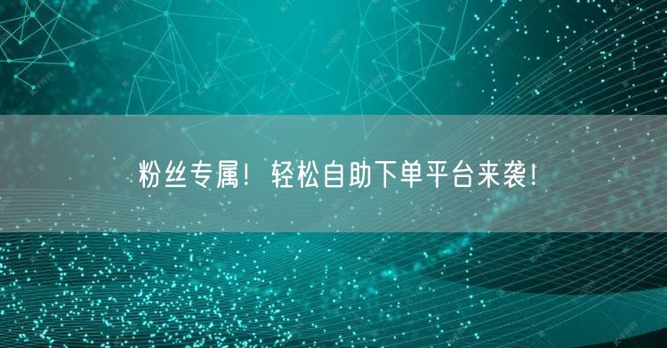 粉丝专属！轻松自助下单平台来袭！