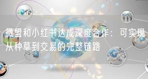 微盟和小红书达成深度合作:可实现从种草到交易的完整链路