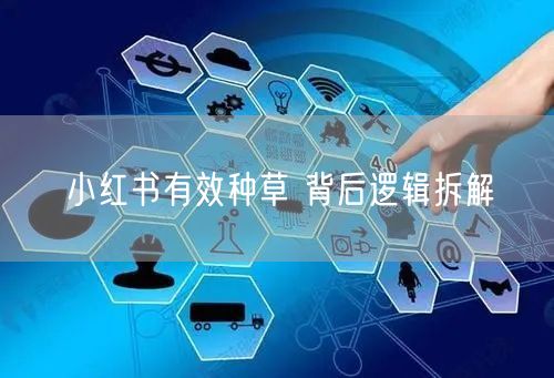 小红书有效种草 背后逻辑拆解