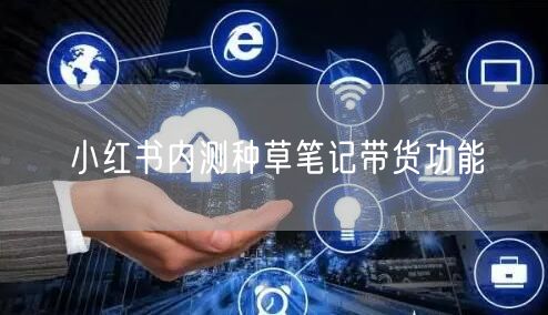 小红书内测种草笔记带货功能