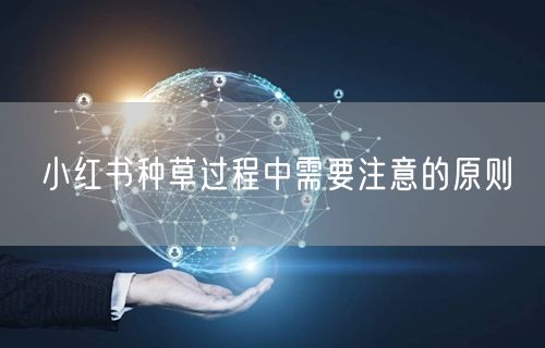 小红书种草过程中需要注意的原则