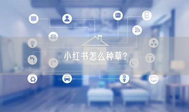 小红书怎么种草?